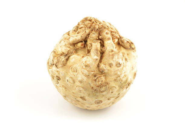 N'TON Celeriac, each