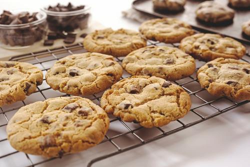 Gourmet Chocolate Chunk Cookie Pucks x10